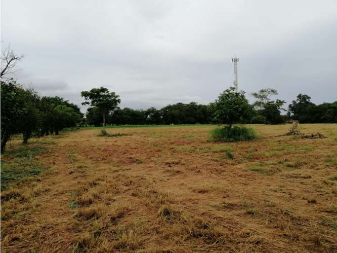 CORONADO BOULEVARD / 37,789M / TERRENO DE 3 FINCAS / ZONAS VERDES - Imagen 3