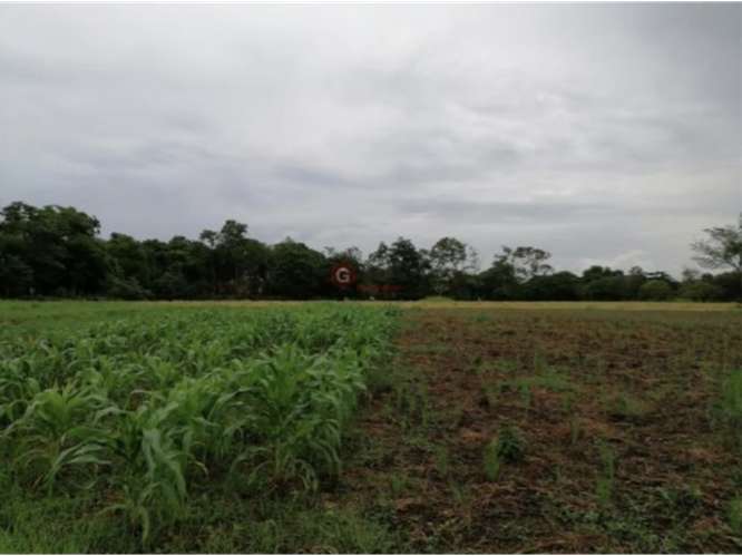 CORONADO BOULEVARD / 37,789M / TERRENO DE 3 FINCAS / ZONAS VERDES - Imagen 19