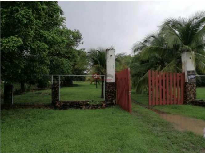 CORONADO BOULEVARD / 37,789M / TERRENO DE 3 FINCAS / ZONAS VERDES - Imagen 16