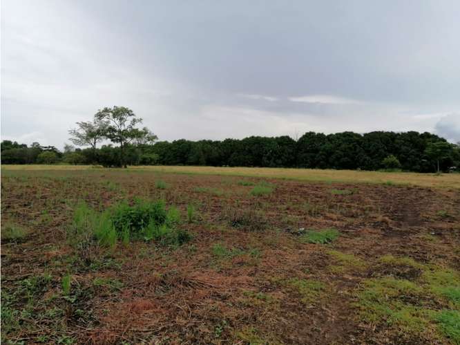 CORONADO BOULEVARD / 37,789M / TERRENO DE 3 FINCAS / ZONAS VERDES - Imagen 10