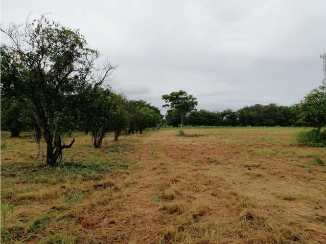 CORONADO BOULEVARD / 37,789M / TERRENO DE 3 FINCAS / ZONAS VERDES - Imagen 7