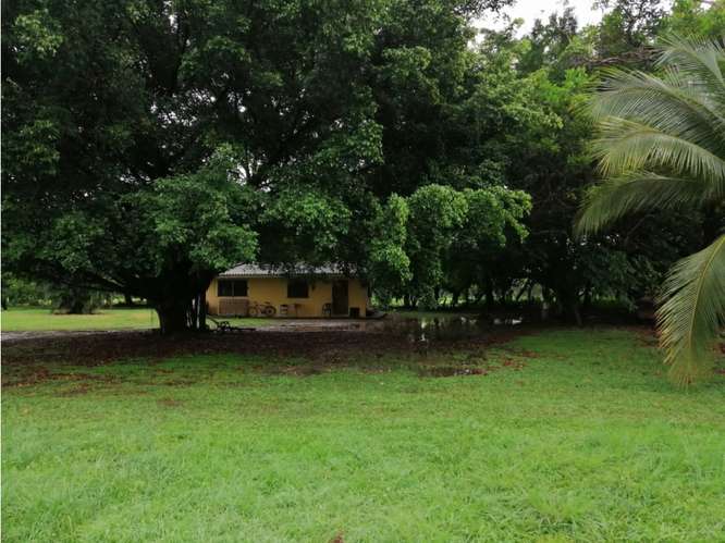 CORONADO BOULEVARD / 37,789M / TERRENO DE 3 FINCAS / ZONAS VERDES