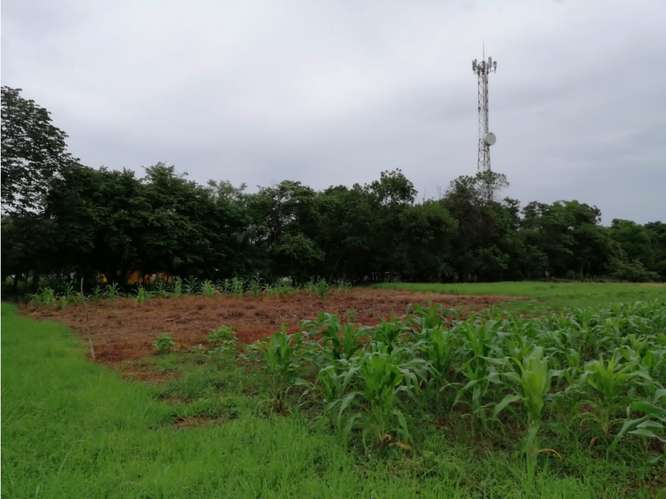 CORONADO BOULEVARD / 37,789M / TERRENO DE 3 FINCAS / ZONAS VERDES - Imagen 4
