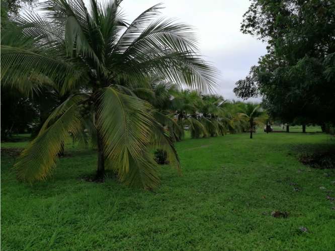 CORONADO BOULEVARD / 37,789M / TERRENO DE 3 FINCAS / ZONAS VERDES - Imagen 12