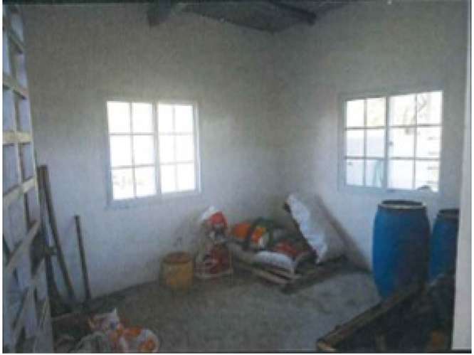 LOMA DEL RIO / CHEPO / 1.6 HECTAREA / ESTABLO Y PISTA GANADERA - Imagen 13