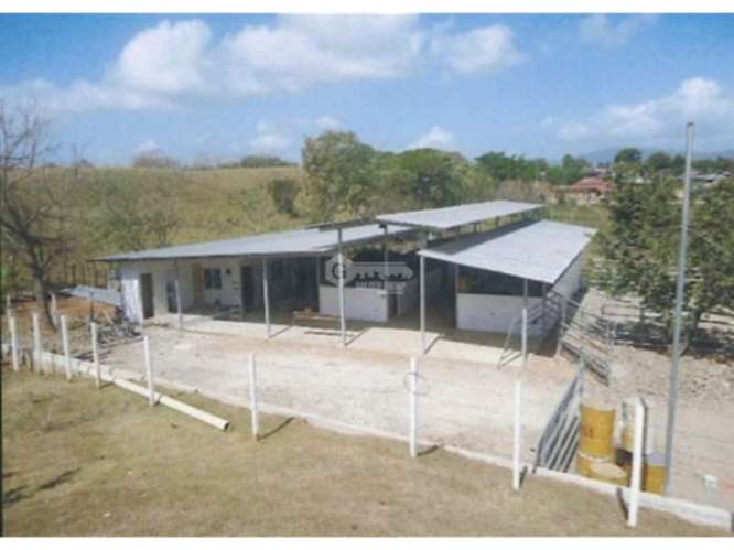CHEPO / LOMA DEL RIO / 1.6 HECTAREA / CASA / ESTABLO / PISCINA - Imagen 16