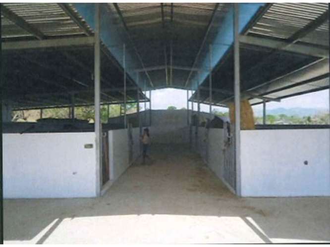 CHEPO / LOMA DEL RIO / 1.6 HECTAREA / CASA / ESTABLO / PISCINA - Imagen 3