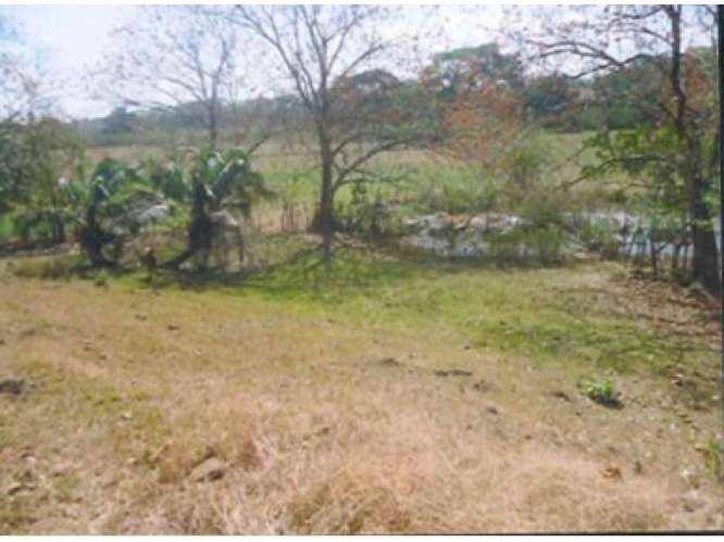 CHEPO / LOMA DEL RIO / 1.6 HECTAREA / CASA / ESTABLO / PISCINA - Imagen 4