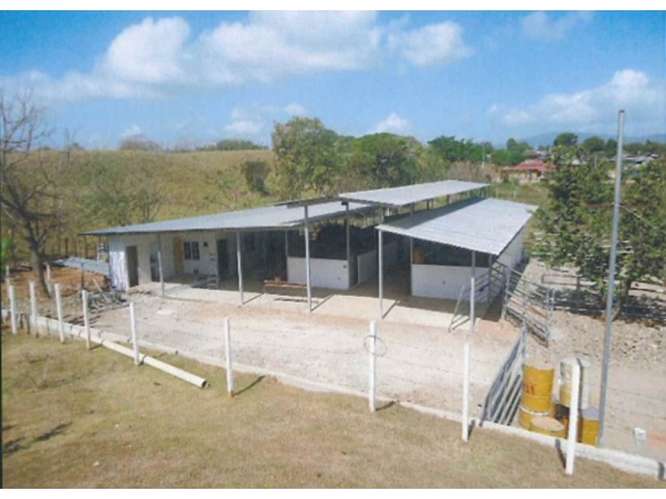 CHEPO / LOMA DEL RIO / 1.6 HECTAREA / CASA / ESTABLO / PISCINA - Imagen 2