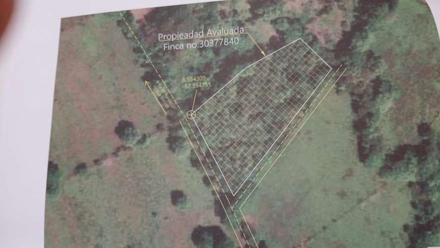 Se Vende Excelente Finca de 12,996.38 m2 (1.3 hectáreas) en El Higo de Cochea, David