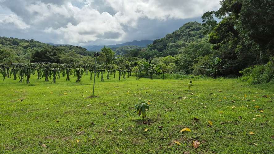 RURAL PROPERTY - COCLE HIGHLANDS