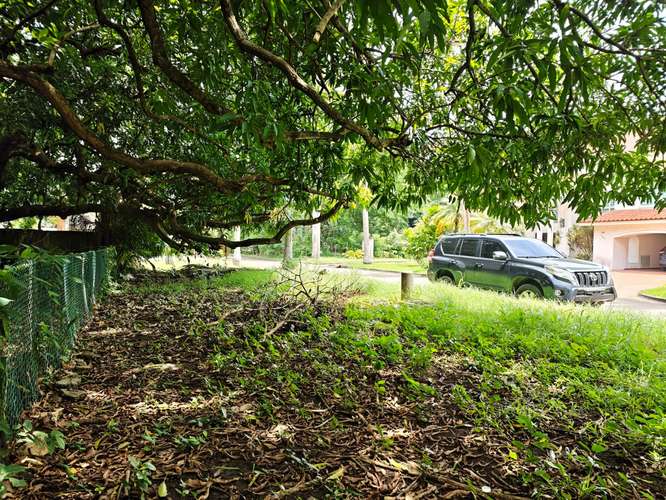 SE VENDE TERRENO EN AMADOR/PARA DESARROLLO - Imagen 17