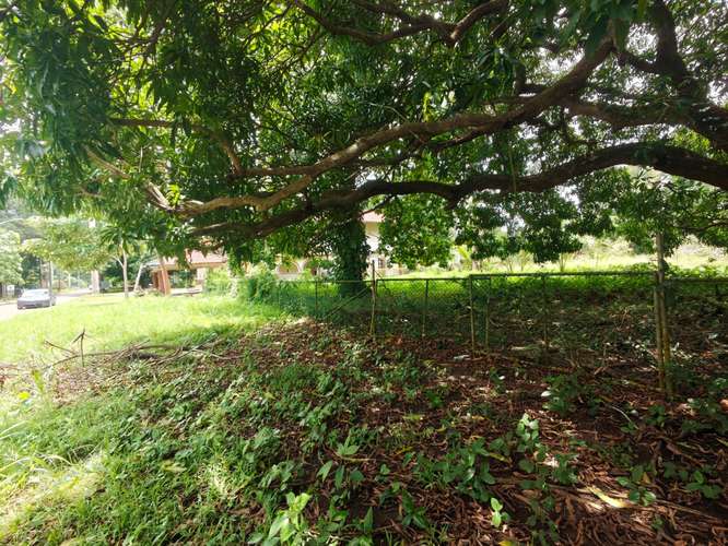 SE VENDE TERRENO EN AMADOR/PARA DESARROLLO - Imagen 11
