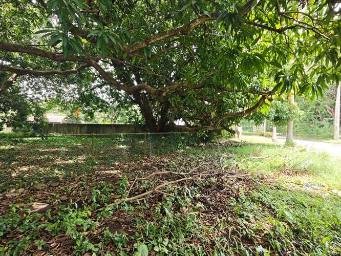 SE VENDE TERRENO EN AMADOR/PARA DESARROLLO - Imagen 13