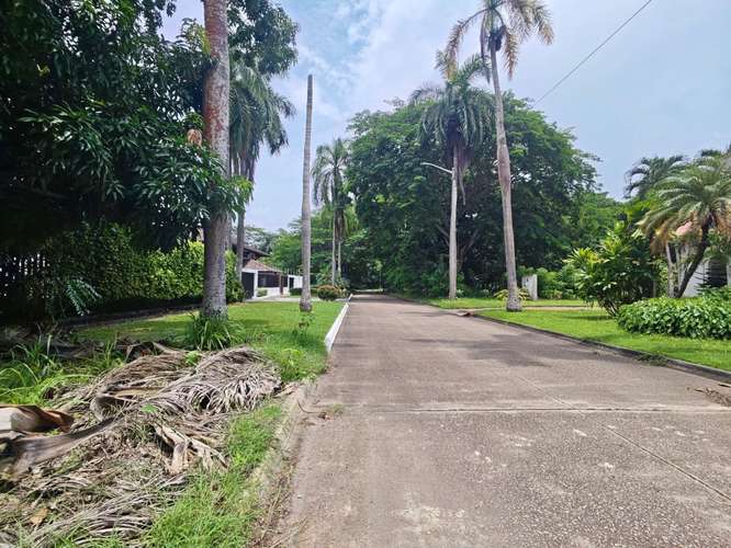 SE VENDE TERRENO EN AMADOR/PARA DESARROLLO - Imagen 10