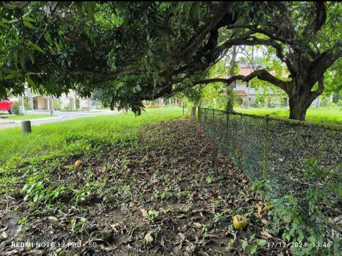 SE VENDE TERRENO EN AMADOR/PARA DESARROLLO - Imagen 5