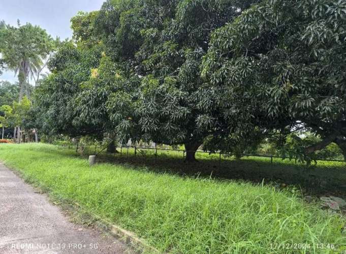 SE VENDE TERRENO EN AMADOR/PARA DESARROLLO - Imagen 7