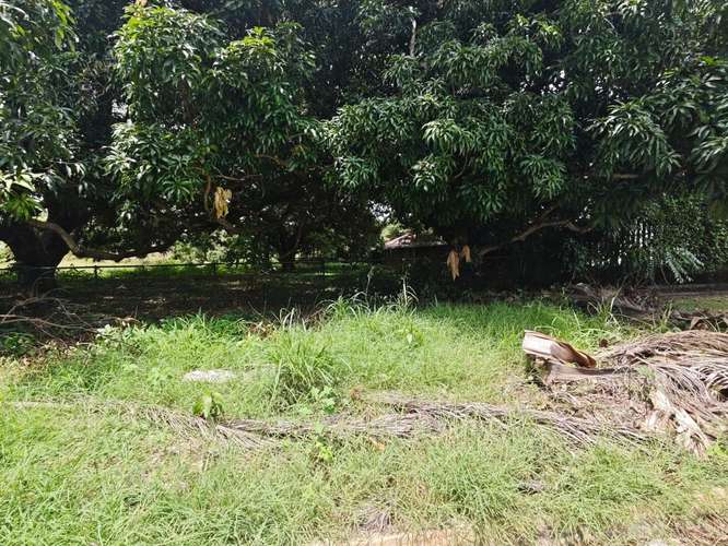 SE VENDE TERRENO EN AMADOR/PARA DESARROLLO - Imagen 9