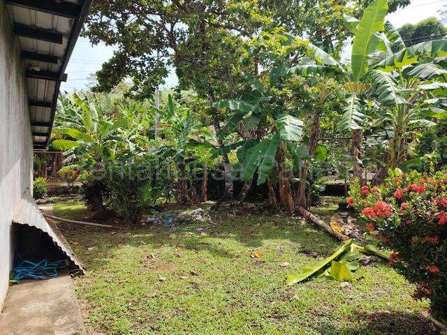 Alquilo casa semi amoblada Vista Alegre, Colon 25GC9262  - Imagen 3