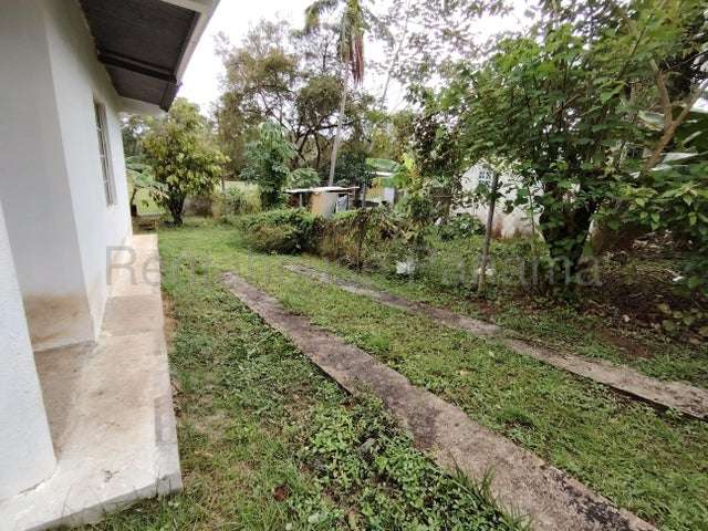 Venta casa campestre Campana, Capira 25GC5472 - Imagen 11