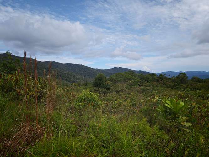 ISLA PRIVADA TITULADA  PORTOBELO+ TERRENO FRENTE AL MAR
