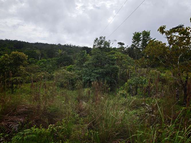 ISLA PRIVADA TITULADA  PORTOBELO+ TERRENO FRENTE AL MAR