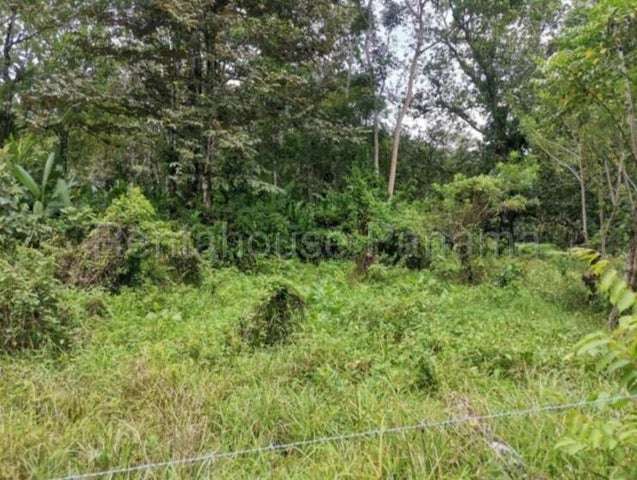 Venta de Finca ganadera-agricola en Costa Arriba, Colón 26GC5840 Titulada  - Imagen 2