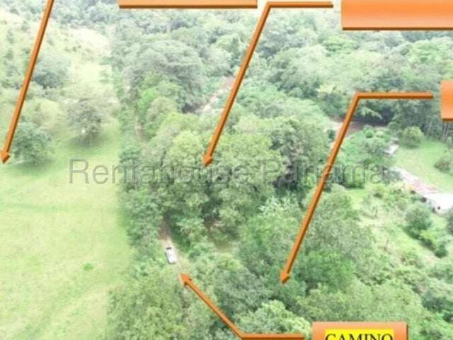 Venta de Finca ganadera-agricola en Costa Arriba, Colón 26GC5840 Titulada  - Imagen 6