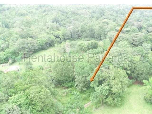 Venta de Finca ganadera-agricola en Costa Arriba, Colón 26GC5840 Titulada  - Imagen 8