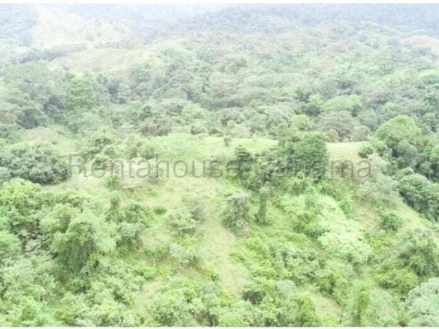 Venta de Finca ganadera-agricola en Costa Arriba, Colón 26GC5840 Titulada  - Imagen 5