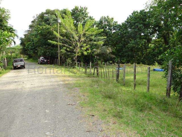 Venta finca ganadera Viento Frio, Colón 26GC5842 Titulada - Imagen 12