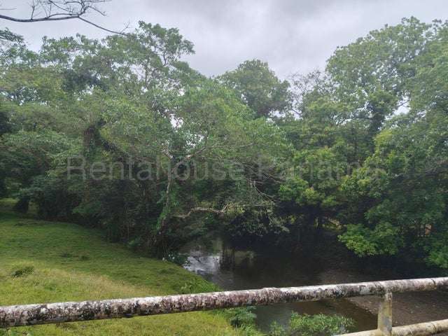 Venta finca ganadera Viento Frio, Colón 26GC5842 Titulada - Imagen 3