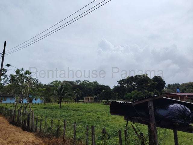 Venta finca ganadera Viento Frio, Colón 26GC5842 Titulada - Imagen 2