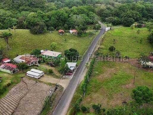Venta finca ganadera Viento Frio, Colón 26GC5842 Titulada