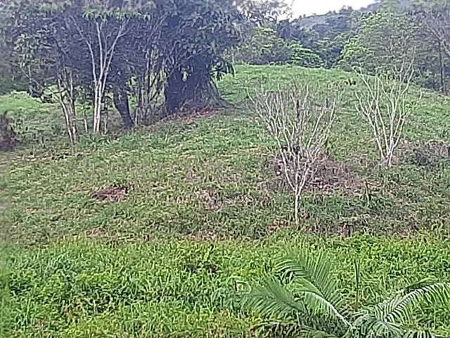 Venta Finca ganadera Nombre de Dios, Colon 26GC5887 titulado - Imagen 2