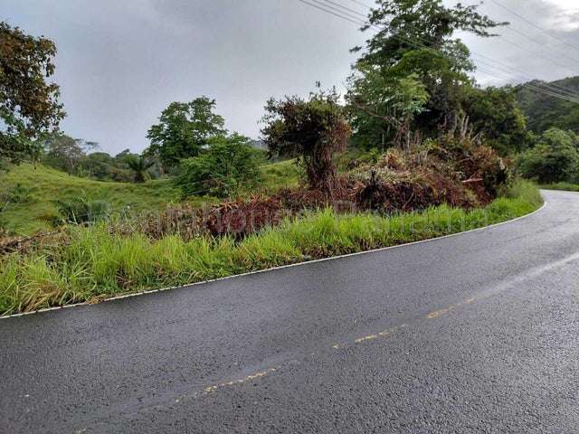 Venta Finca ganadera Nombre de Dios, Colon 26GC5887 titulado - Imagen 10