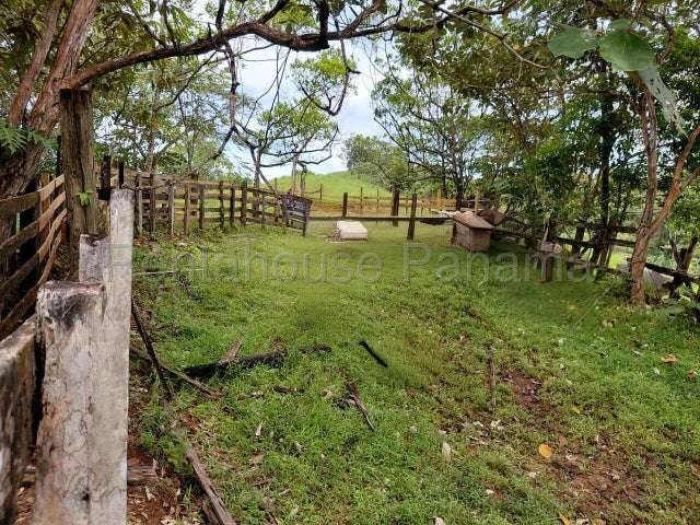 Venta Finca ganadera Nombre de Dios, Colon 26GC5887 titulado - Imagen 7