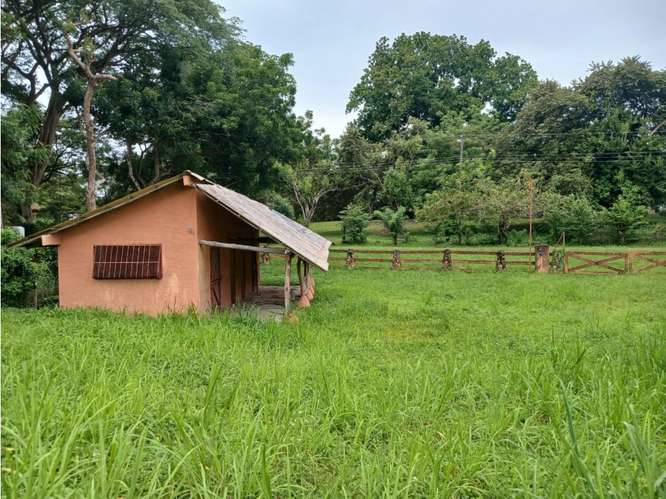 SE VENDE TERRENO 3000 M2 EN LAS LAGARTIJAS  SAN CARLOS CERCA DE RIO - Imagen 19
