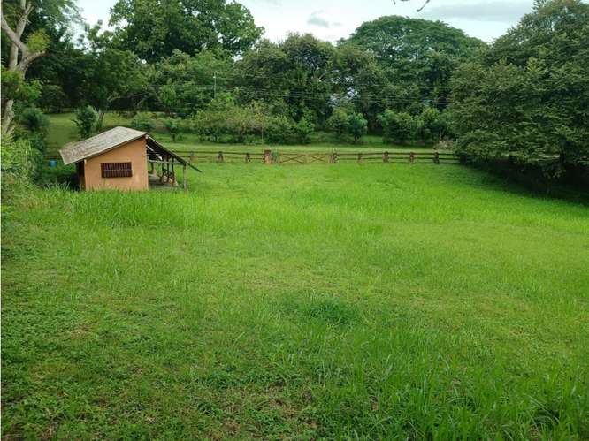 SE VENDE TERRENO 3000 M2 EN LAS LAGARTIJAS  SAN CARLOS CERCA DE RIO - Imagen 17