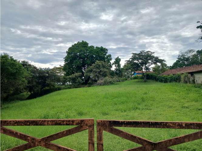 SE VENDE TERRENO 3000 M2 EN LAS LAGARTIJAS  SAN CARLOS CERCA DE RIO - Imagen 3