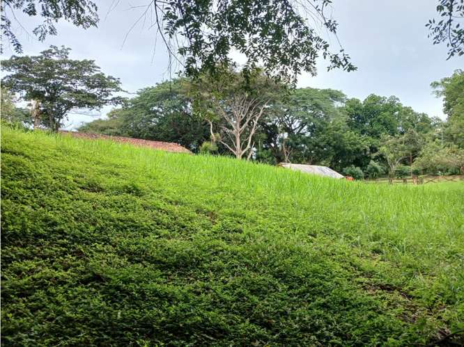 SE VENDE TERRENO 3000 M2 EN LAS LAGARTIJAS  SAN CARLOS CERCA DE RIO - Imagen 16