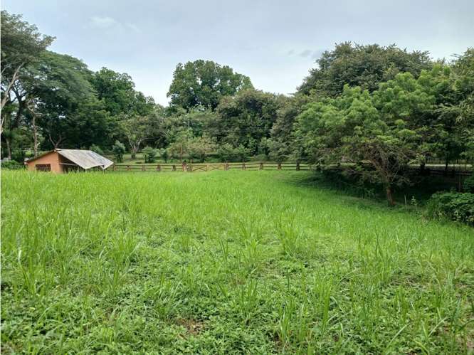 SE VENDE TERRENO 3000 M2 EN LAS LAGARTIJAS  SAN CARLOS CERCA DE RIO - Imagen 15