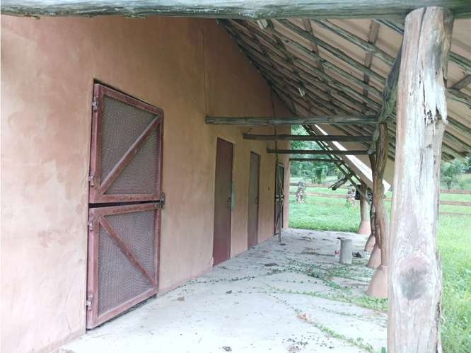 SE VENDE TERRENO 3000 M2 EN LAS LAGARTIJAS  SAN CARLOS CERCA DE RIO - Imagen 4