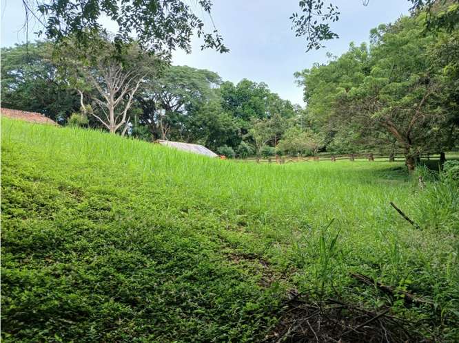 SE VENDE TERRENO 3000 M2 EN LAS LAGARTIJAS  SAN CARLOS CERCA DE RIO - Imagen 13