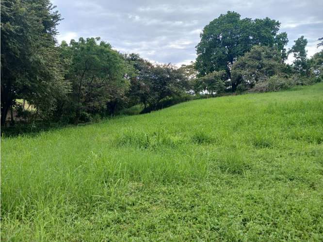 SE VENDE TERRENO 3000 M2 EN LAS LAGARTIJAS  SAN CARLOS CERCA DE RIO
