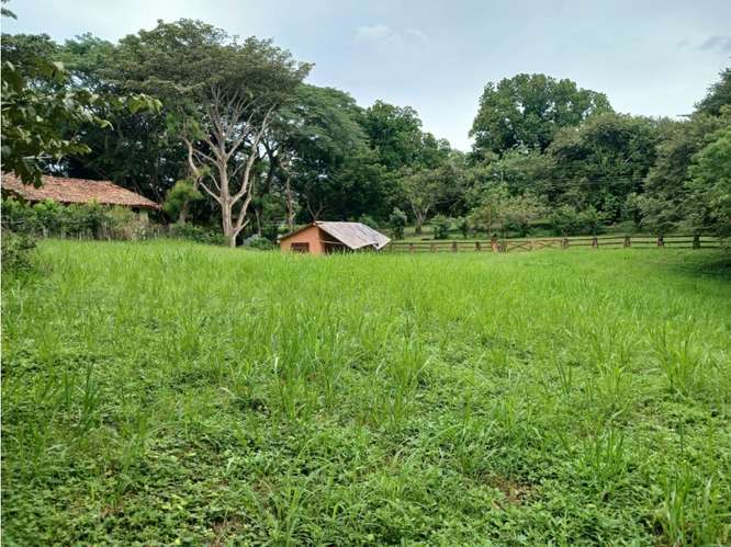 SE VENDE TERRENO 3000 M2 EN LAS LAGARTIJAS  SAN CARLOS CERCA DE RIO - Imagen 20