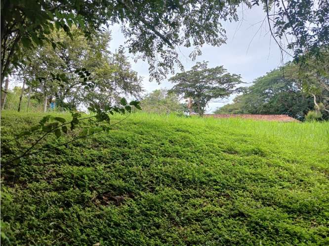 LAS LAGARTIJAS / SAN CARLOS / 3000 M2 / CERCA DE RIO / ZONAS VERDES - Imagen 18