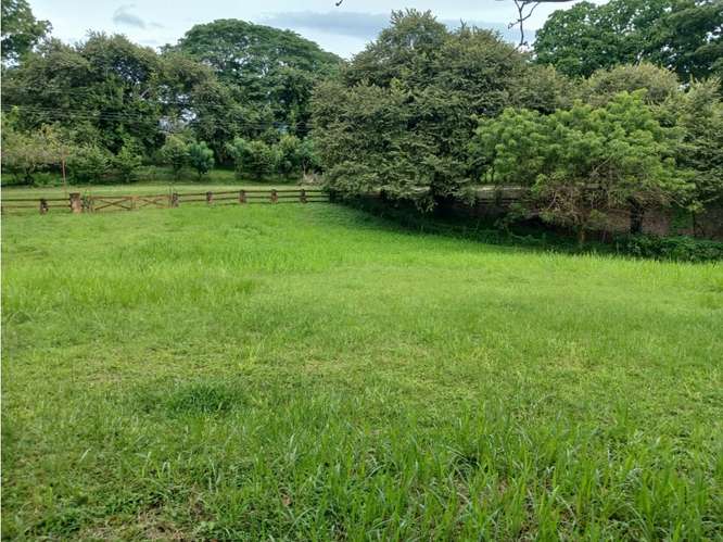 LAS LAGARTIJAS / SAN CARLOS / 3000 M2 / CERCA DE RIO / ZONAS VERDES - Imagen 9