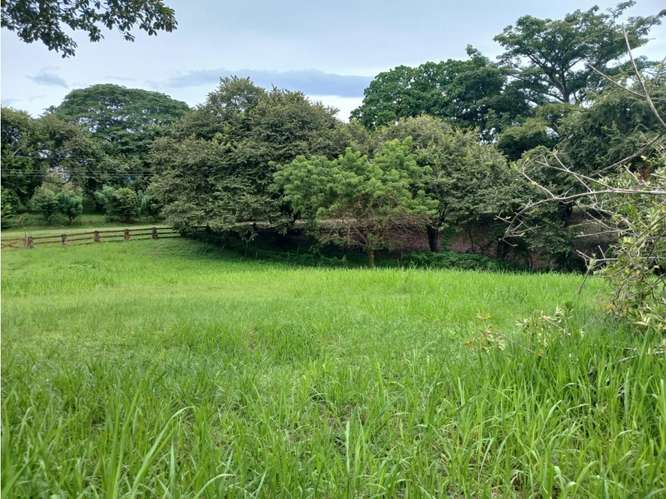 LAS LAGARTIJAS / SAN CARLOS / 3000 M2 / CERCA DE RIO / ZONAS VERDES - Imagen 7