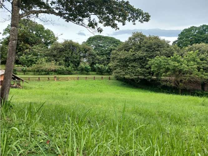 LAS LAGARTIJAS / SAN CARLOS / 3000 M2 / CERCA DE RIO / ZONAS VERDES - Imagen 8